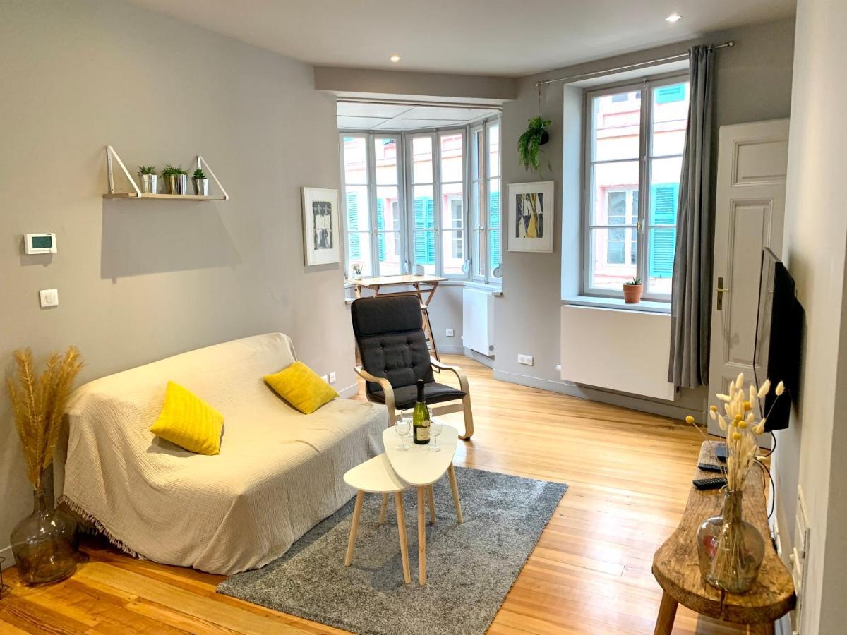 Appartement Hyper-Centre 科尔马 外观 照片